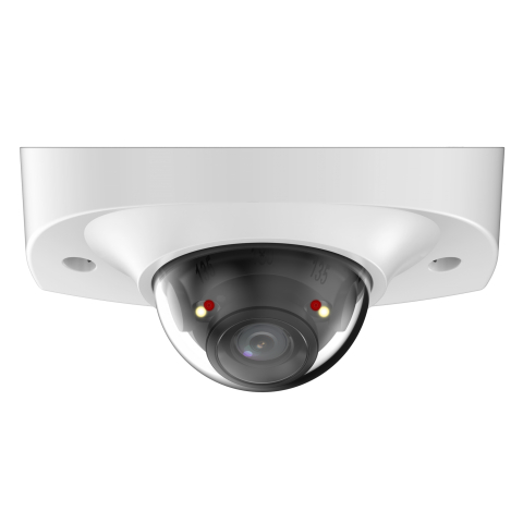 Dahua 4MP Dual Light Dome Camera IPC-HDBW2449F-AS-IL